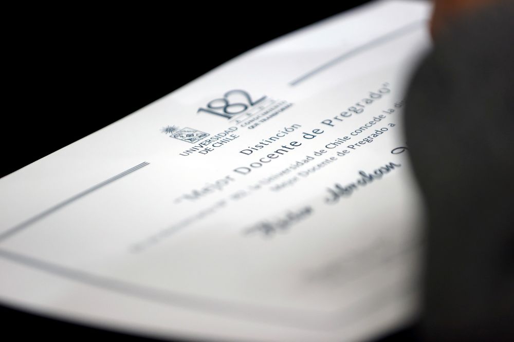 Este reconocimiento busca distinguir a académicas y académicos no solo por el dominio en sus respectivas áreas de conocimiento e investigación, sino que también por su entrega y vocación.